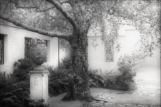 Blue Mountain Stories - Henri Van de Velde, Everglades
